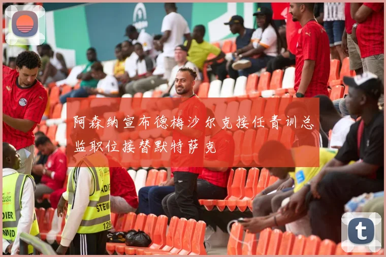 阿森纳宣布德梅沙尔克接任青训总监职位接替默特萨克